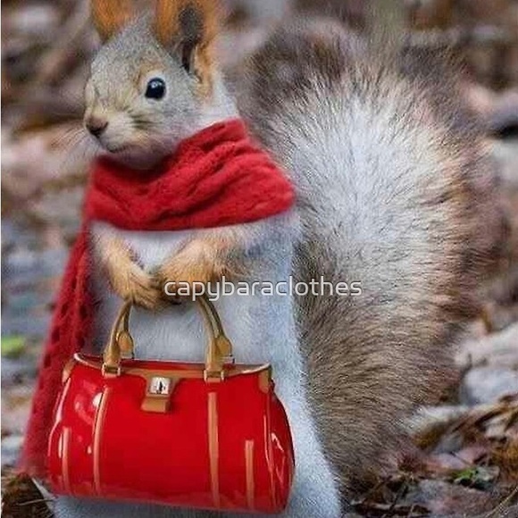 Giveaway (also fyi closet closing all items reduced in price) - Picture 3 of 5